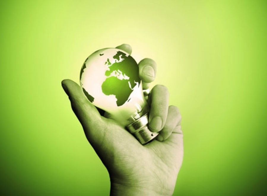 II Международный экологический форум «Зелёная экономика